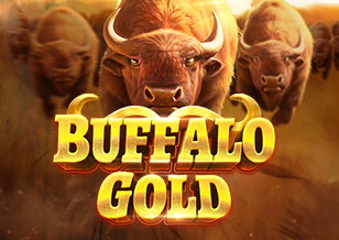 BUFFALO GOLD